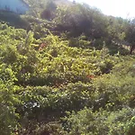 вилна зона златни пясъци, спирка ален мак * Βάρνα