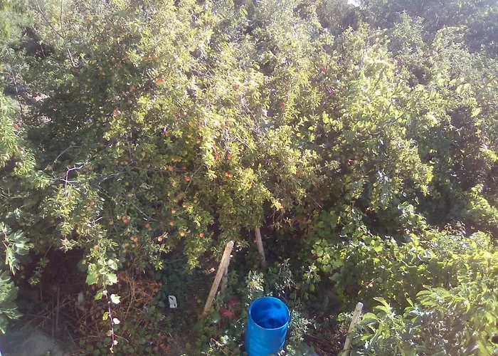 вилна зона златни пясъци, спирка ален мак Gæstehus