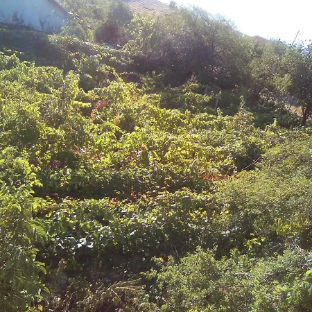 вилна зона златни пясъци, спирка ален мак * Varna