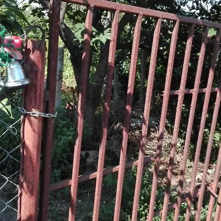 вилна зона златни пясъци, спирка ален мак Guest house Varna