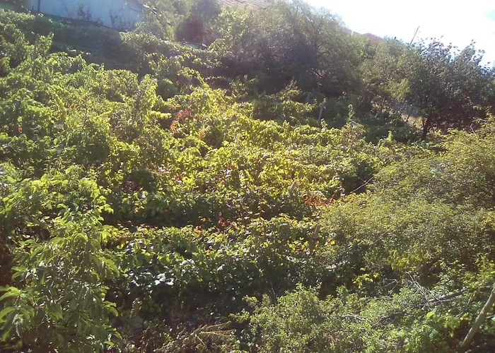 вилна зона златни пясъци, спирка ален мак * Varna